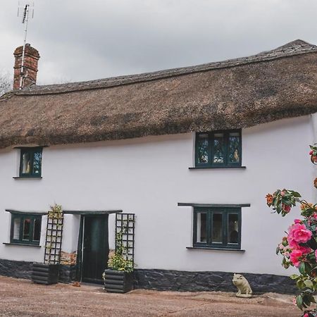 'The Cottage' Okehampton Eksteriør billede