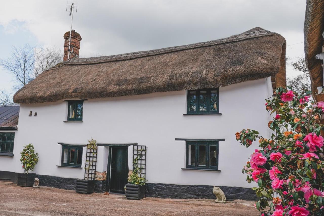 'The Cottage' Okehampton Eksteriør billede