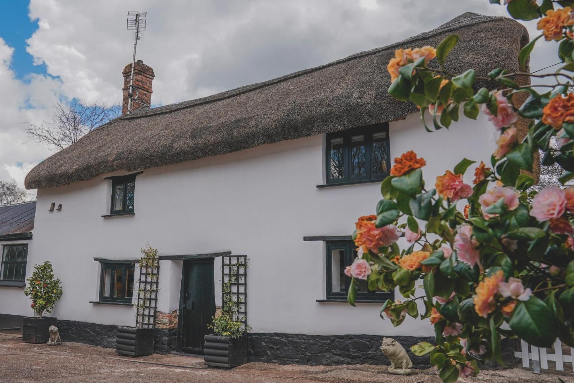 'The Cottage' Okehampton Eksteriør billede